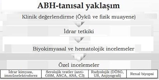 akut-bobrek-hasari-tani-ve-tedavisi-11431 Akut böbrek hasarı tanı ve tedavisi