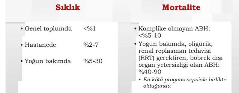akut-bobrek-hasari-tani-ve-tedavisi-9830 Akut böbrek hasarı tanı ve tedavisi