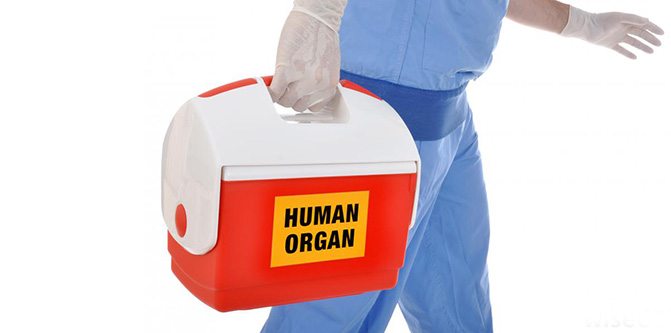 organ-naklinde-dogru-oldugu-sanilan-10-yanlis-32590 Organ naklinde doğru olduğu sanılan 10 yanlış